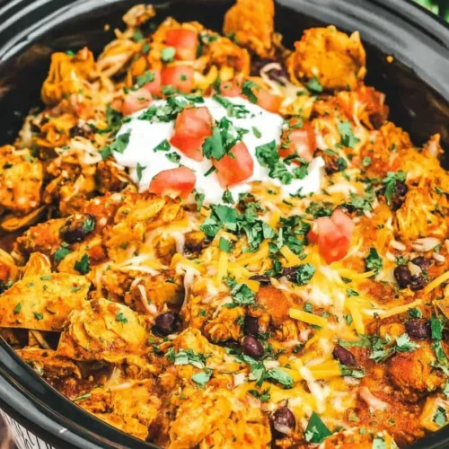 Chicken Enchilada Crock Pot Meal