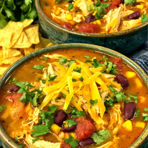 Slow Cooker Chicken Enchilada Soup