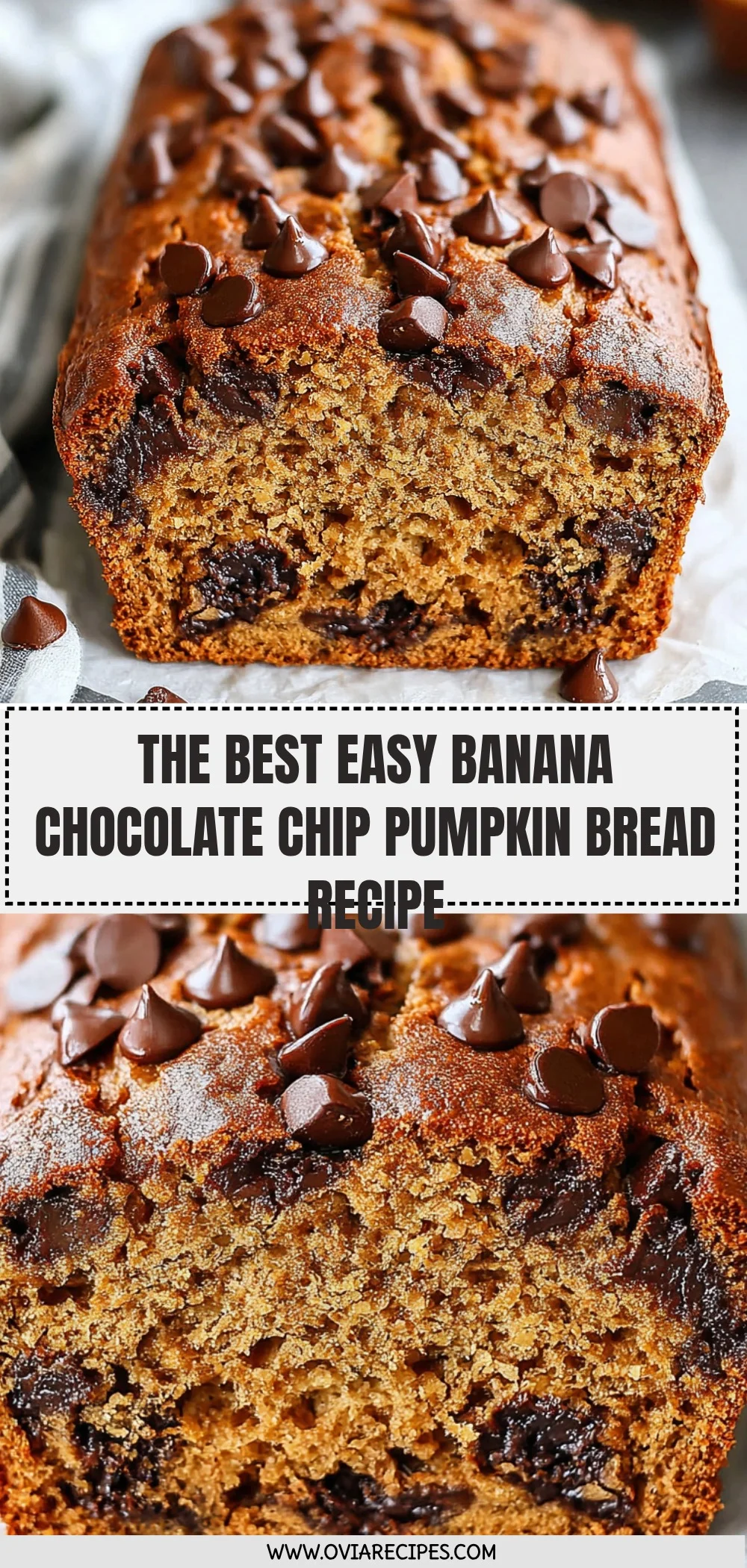 Banana Chocolate Chip Pumpkin Bread Recipe (Quick & Easy!)