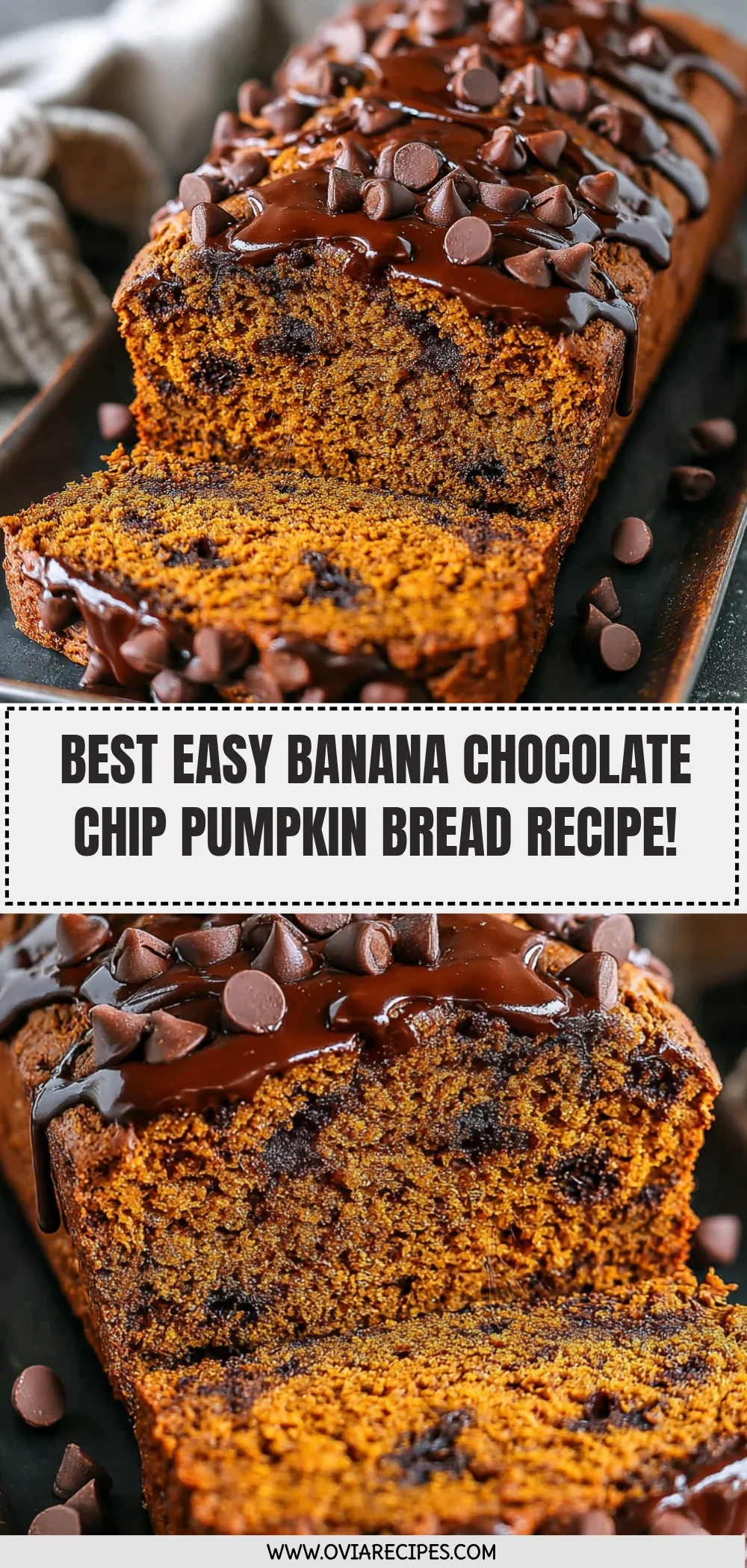 Banana Chocolate Chip Pumpkin Bread Recipe (Quick & Easy!)