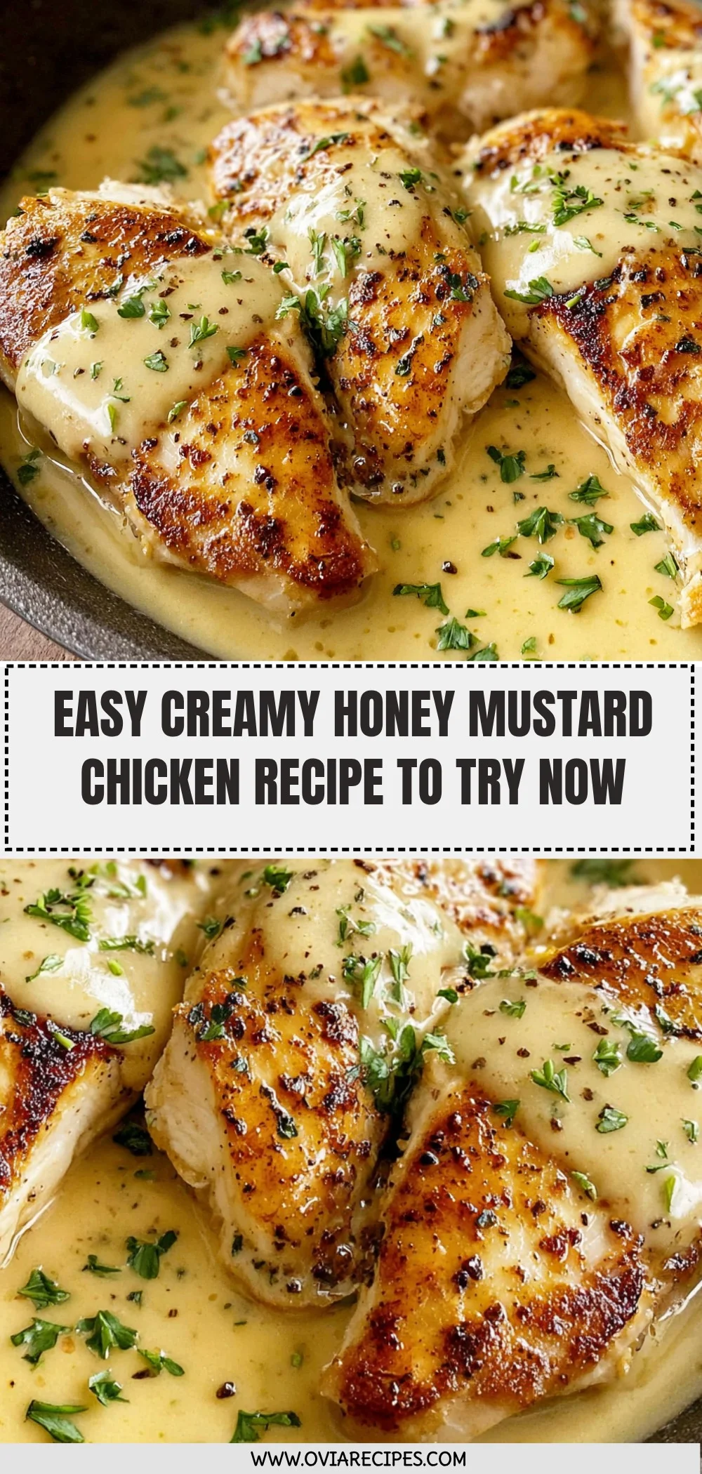 Creamy Honey Mustard Chicken Recipe (Quick & Easy!)