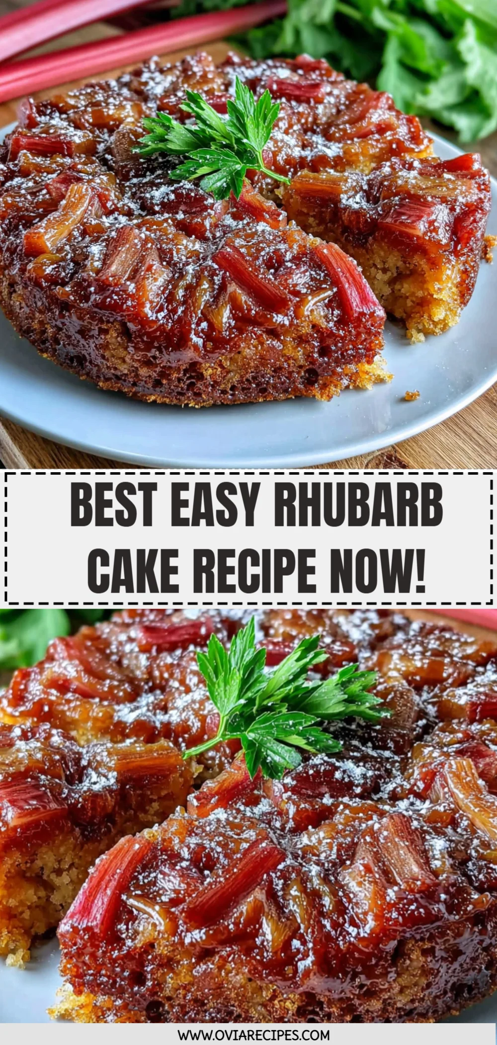 Best Easy Rhubarb Cake Recipe Now!
