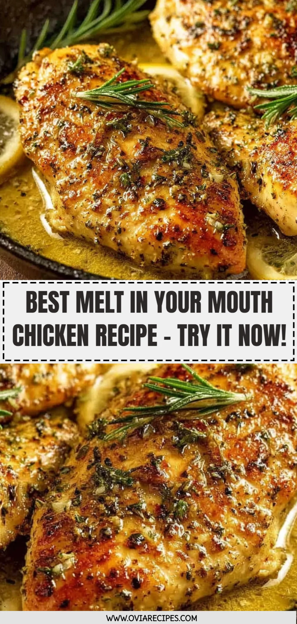Best Melt In Your Mouth Chicken Recipe - Try It Now!