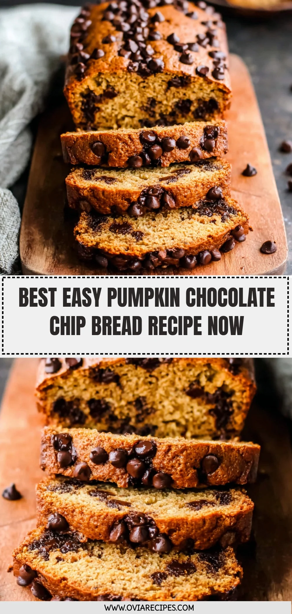 Pumpkin Chocolate Chip Bread Recipe (Quick & Easy!)