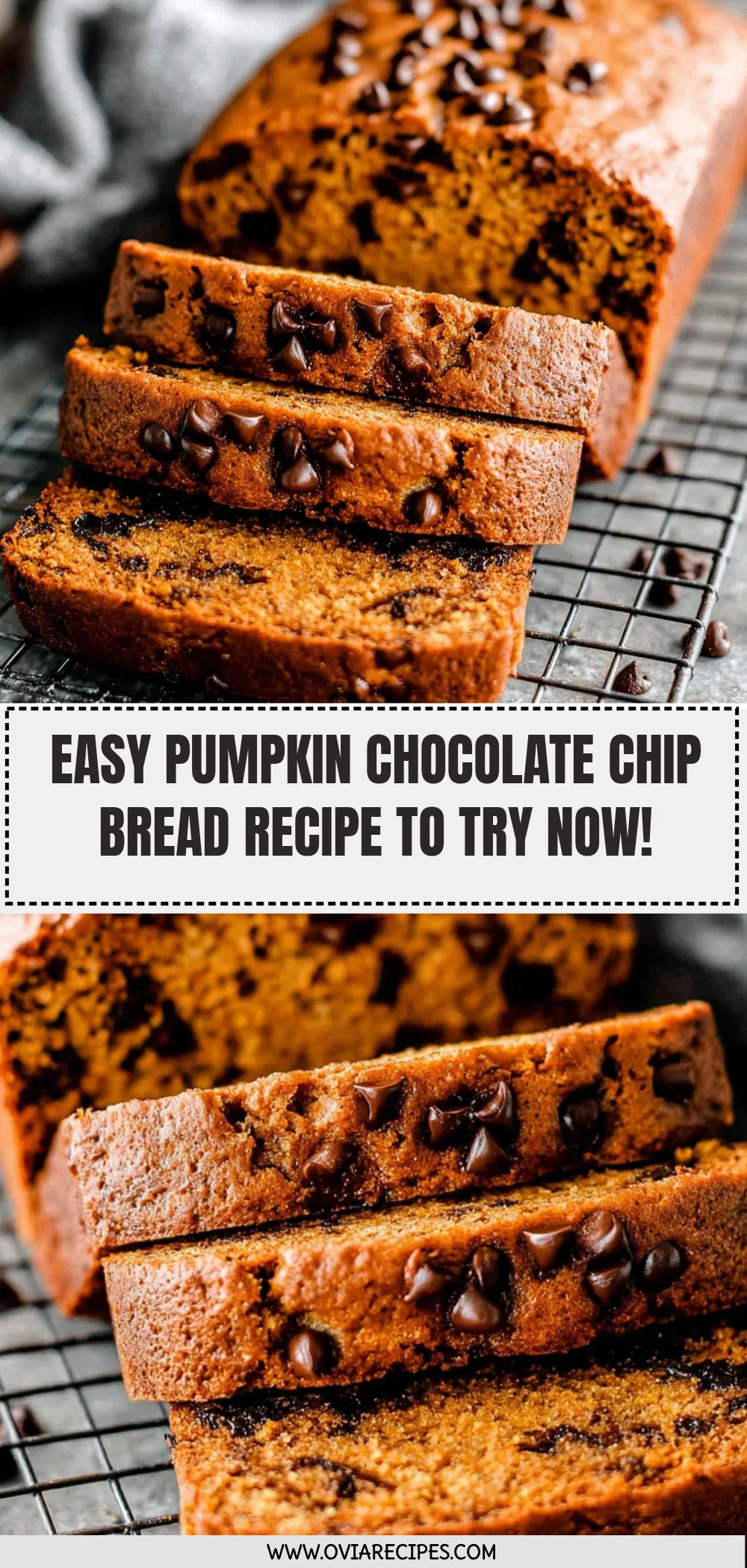 Pumpkin Chocolate Chip Bread Recipe (Quick & Easy!)
