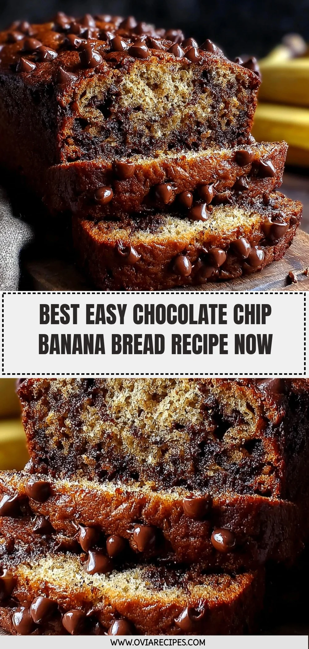 Super Moist Chocolate Chip Banana Bread Recipe (Quick & Easy!)