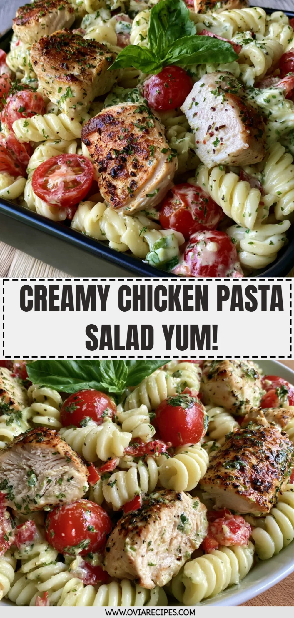 Creamy Chicken Pasta Salad Yum!