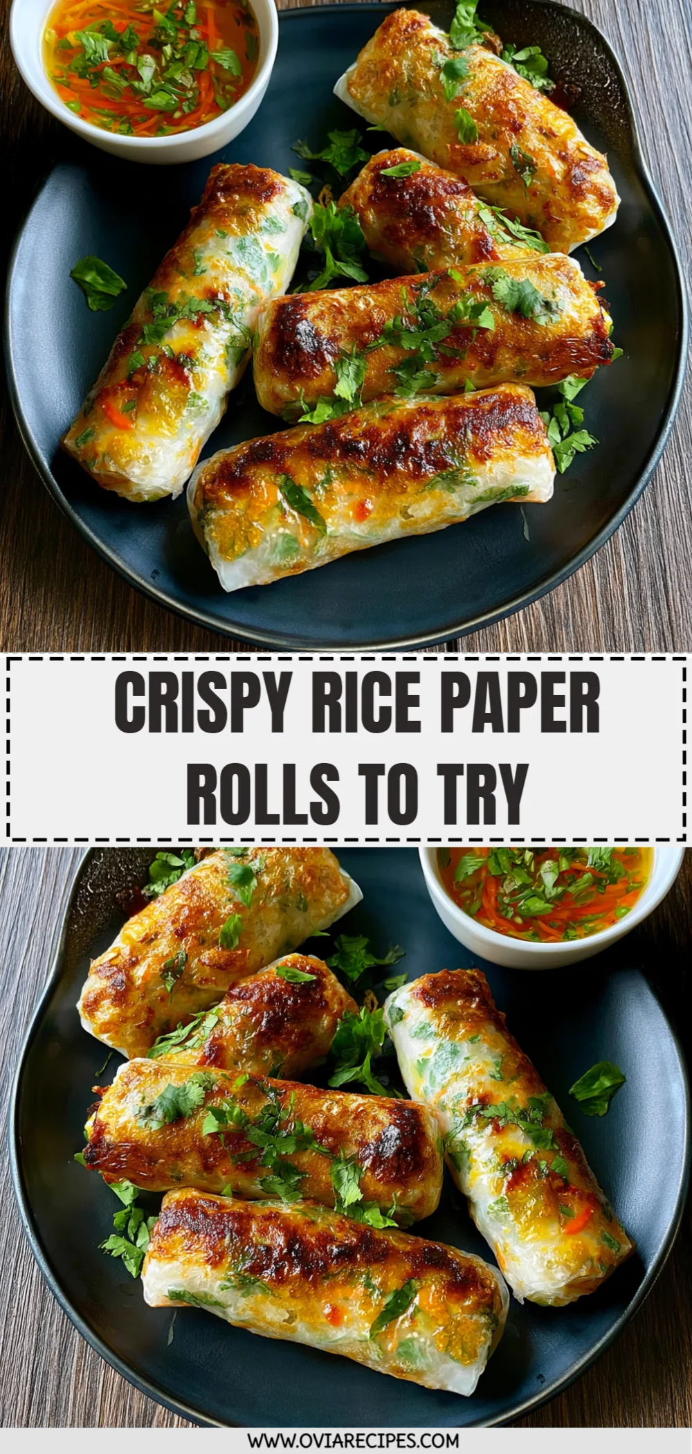 Crispy Rice Paper Rolls to Try