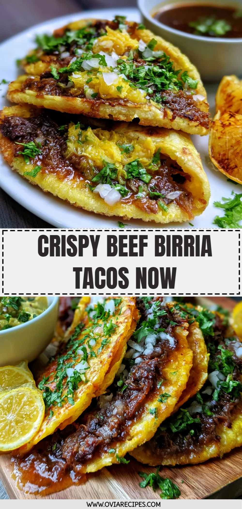 Crispy Beef Birria Tacos Now
