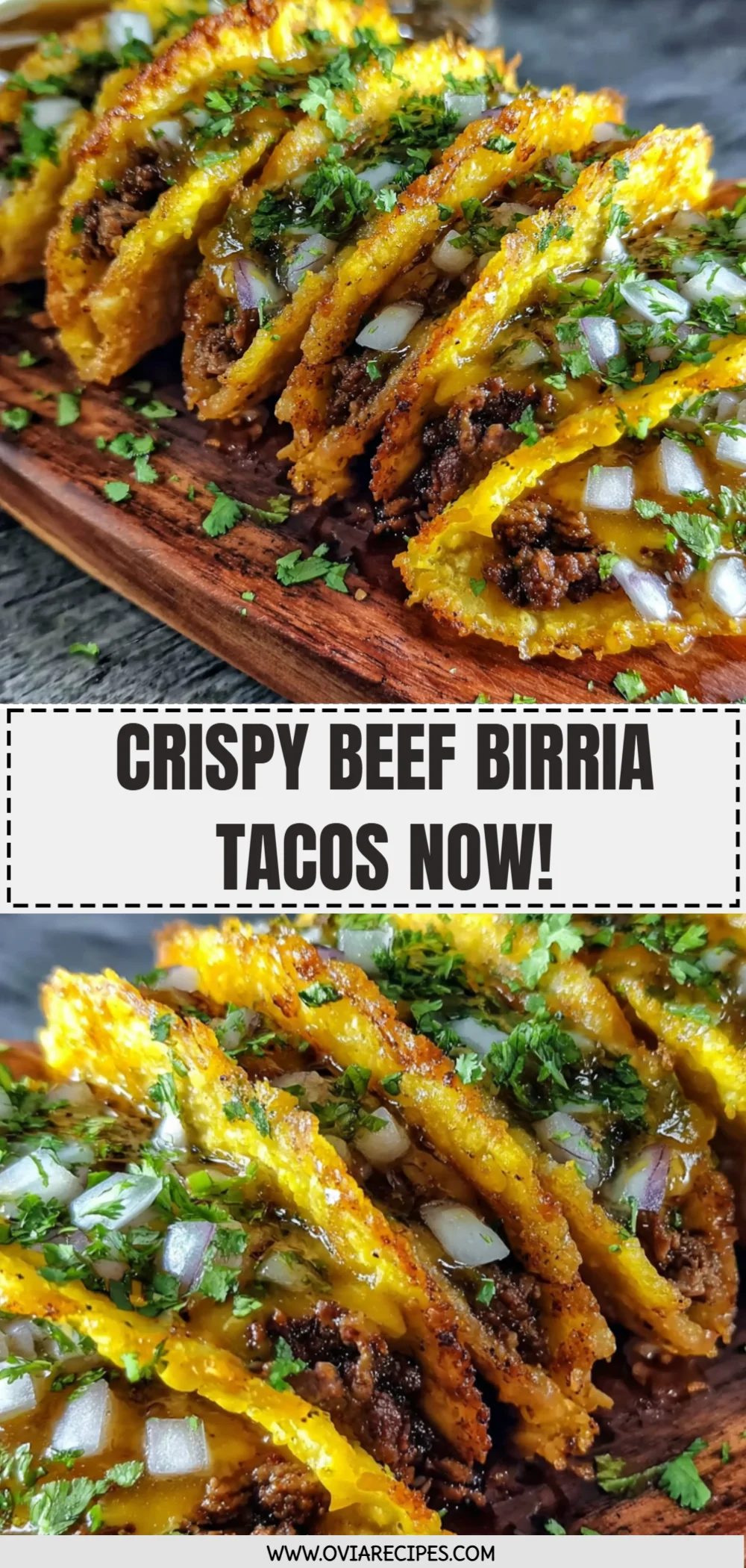 Crispy Beef Birria Tacos Now!