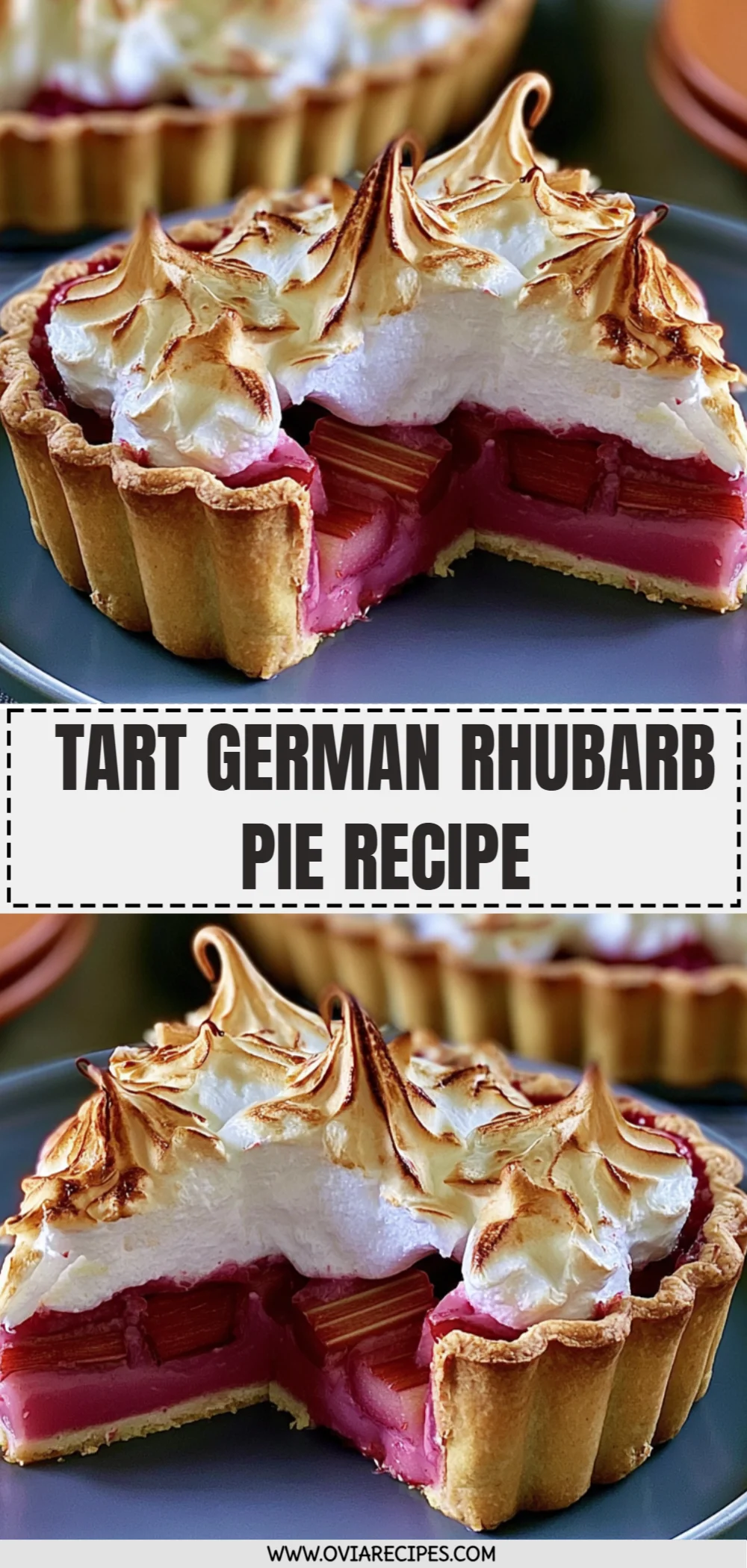 Tart German Rhubarb Pie Recipe