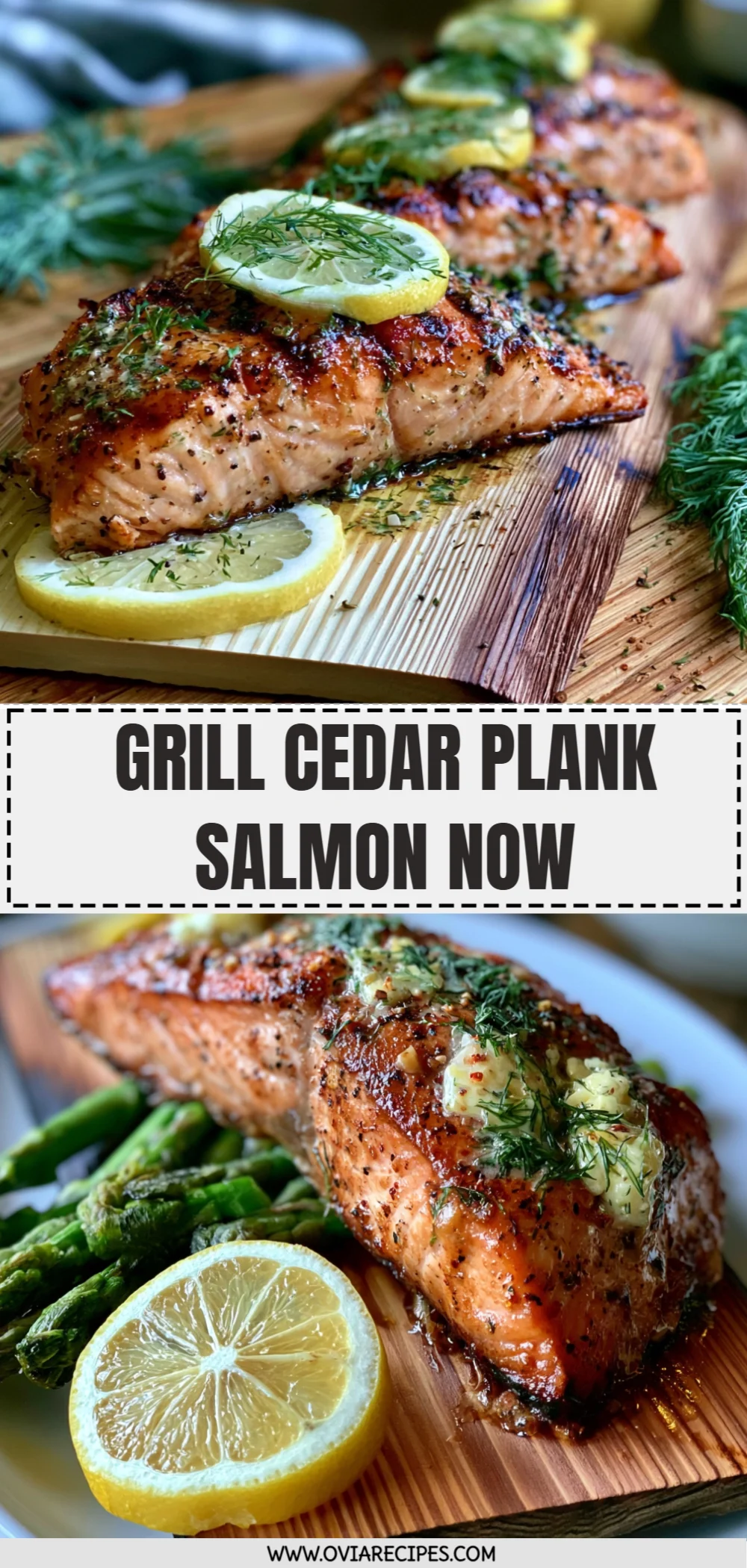Grill Cedar Plank Salmon Now