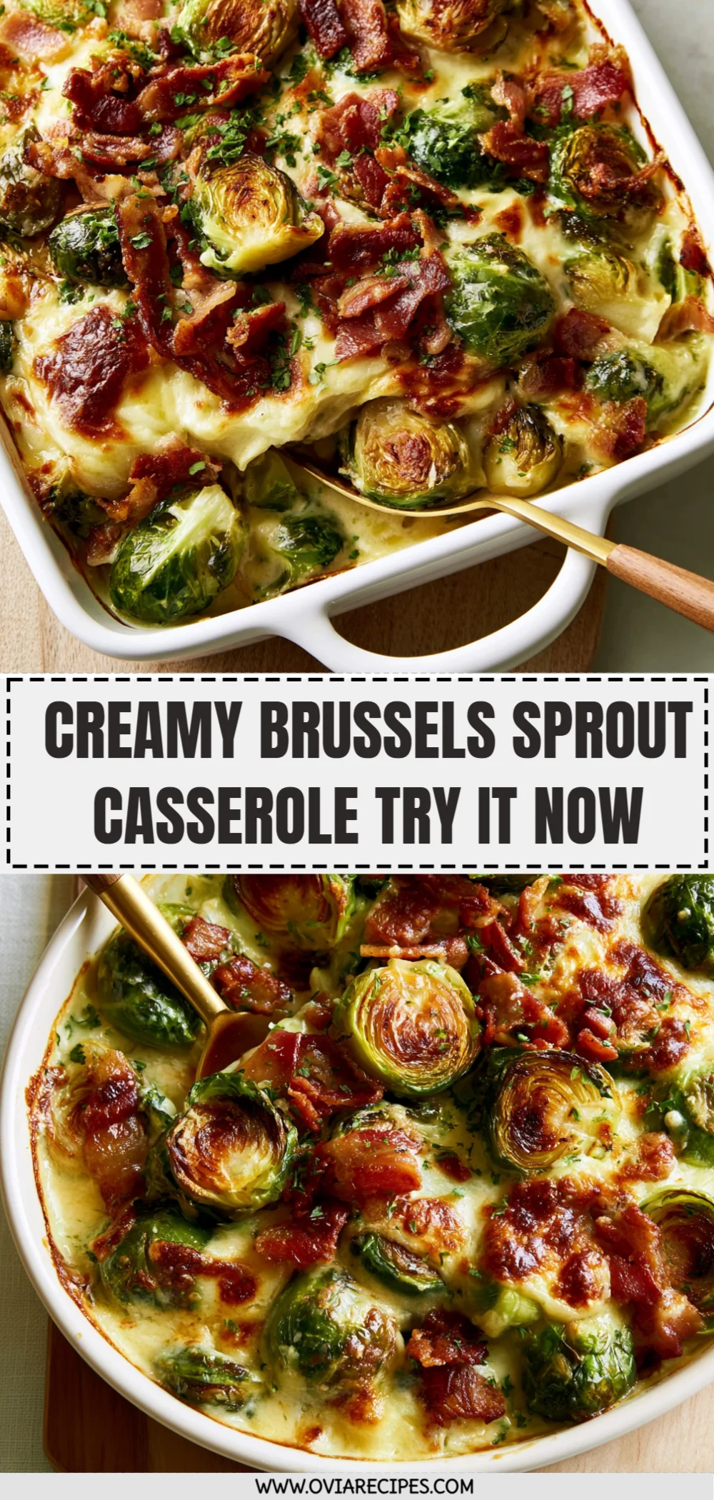 Creamy Brussels Sprout Casserole Try It Now