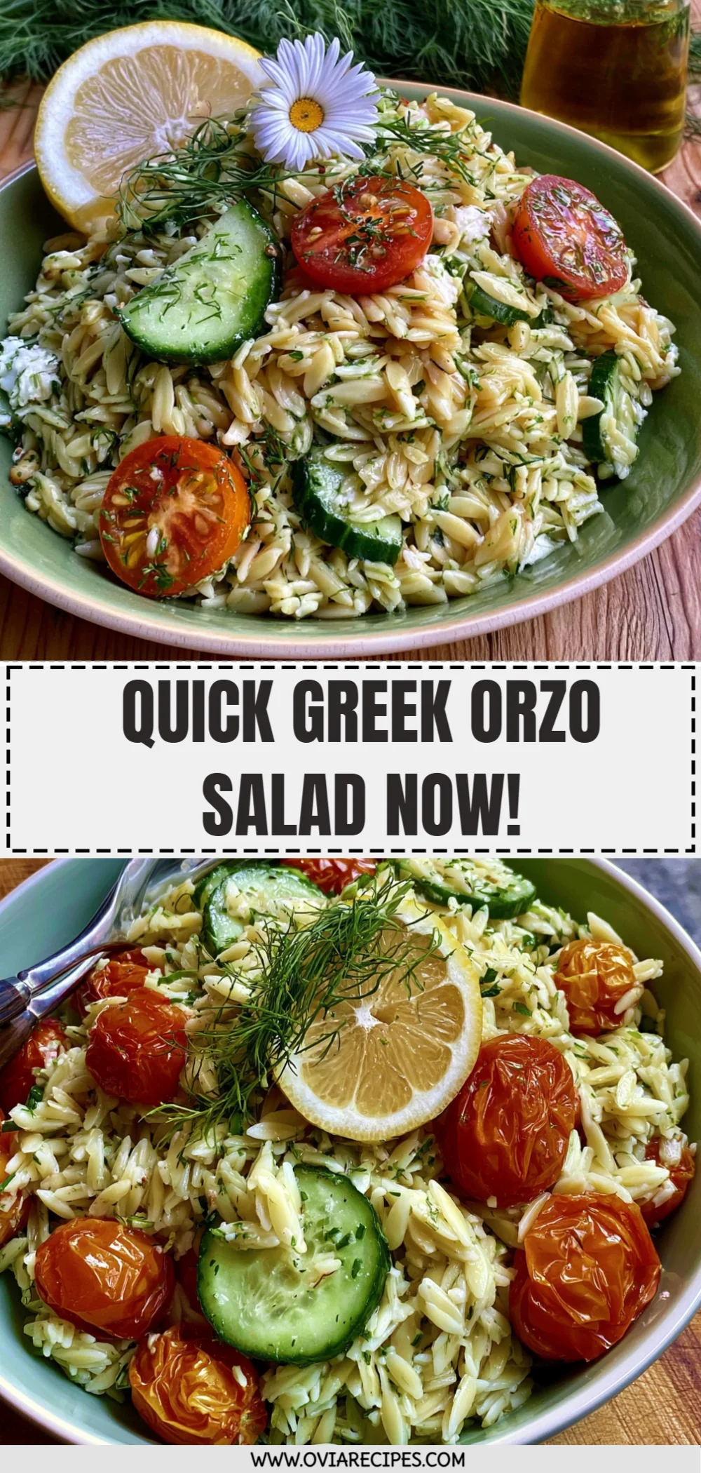 Quick Greek Orzo Salad Now!