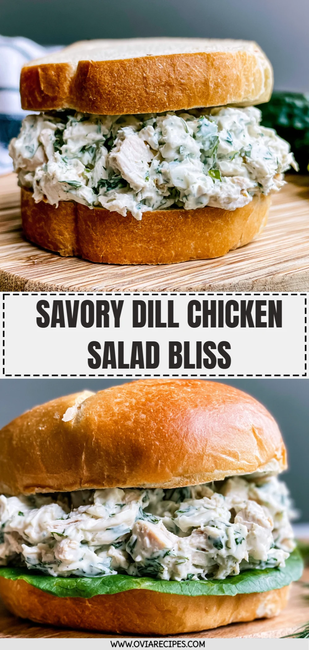 Savory Dill Chicken Salad Bliss