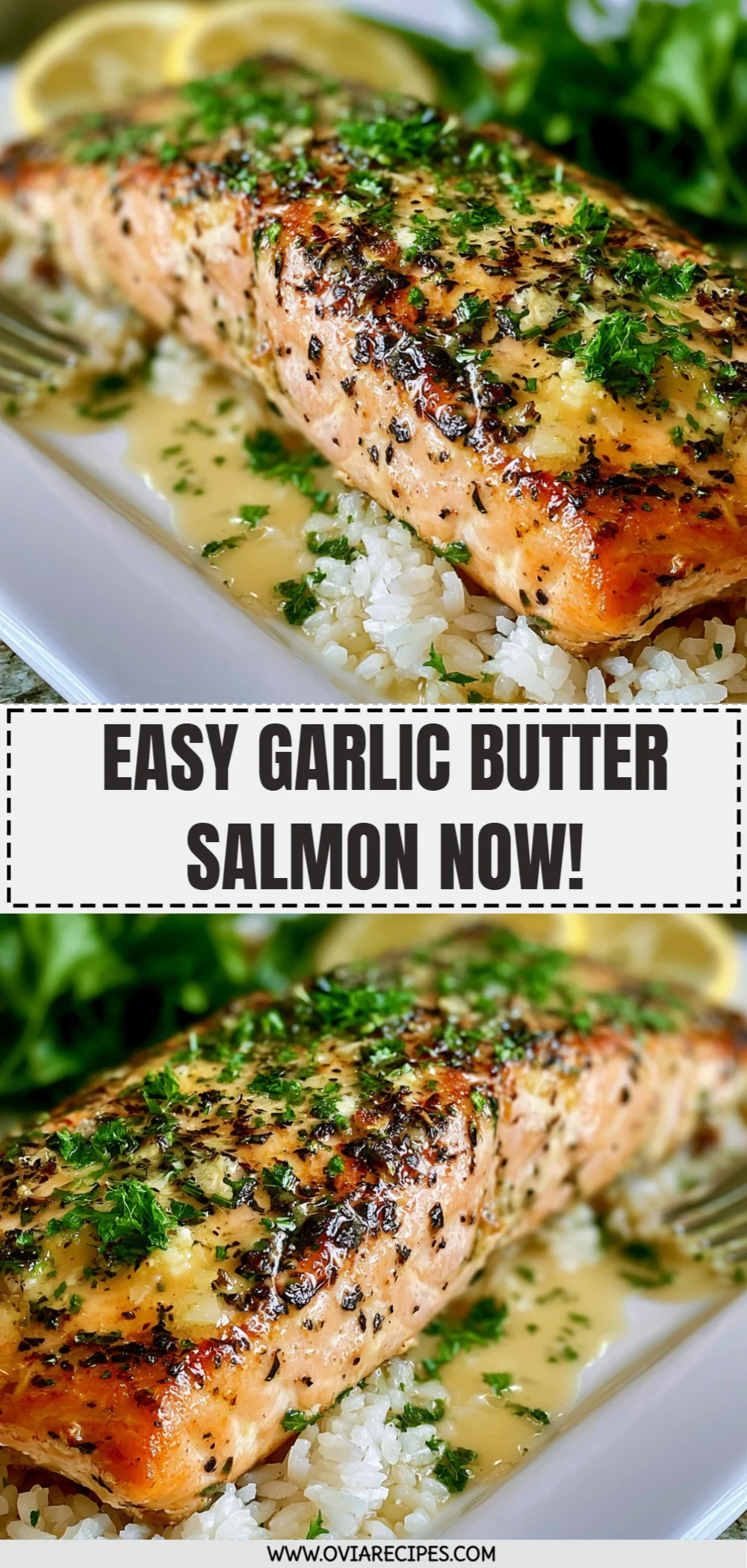 Easy Garlic Butter Salmon Now!