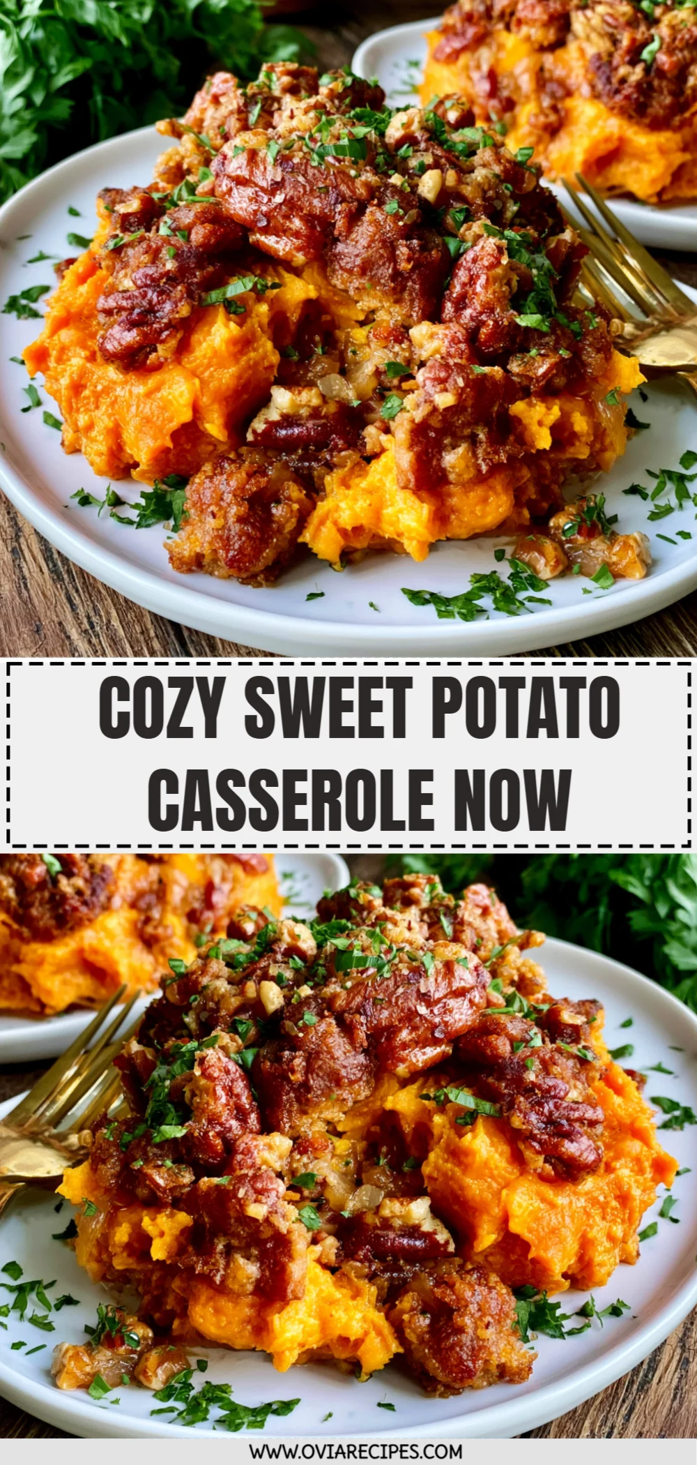 Cozy Sweet Potato Casserole Now