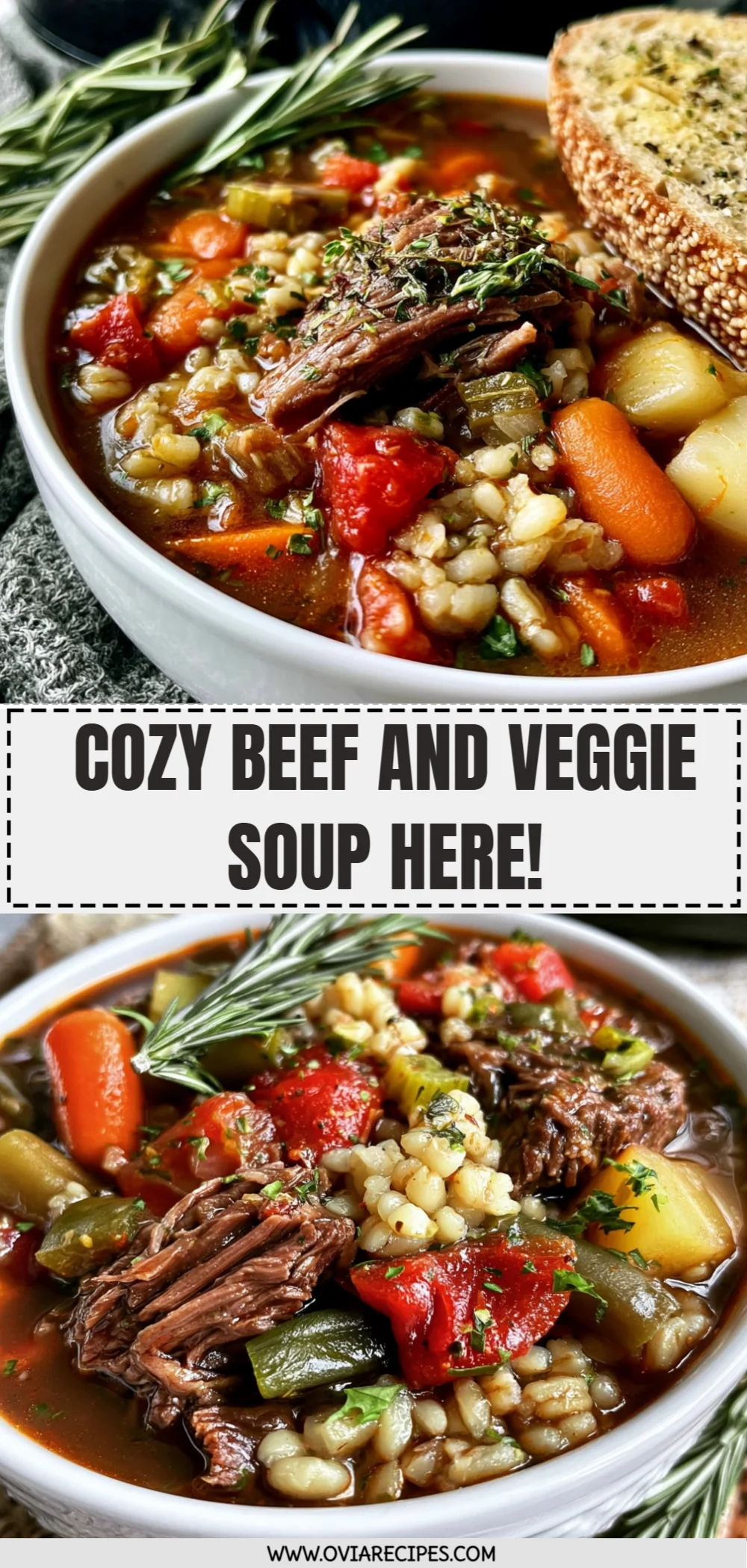 Cozy Beef and Veggie Soup Here!