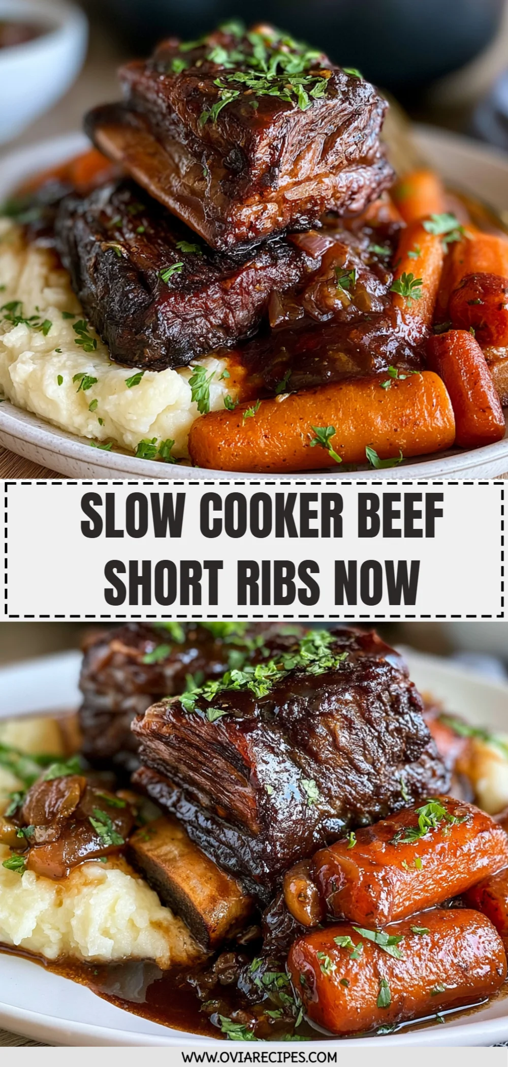 Slow Cooker Beef Short Ribs Now