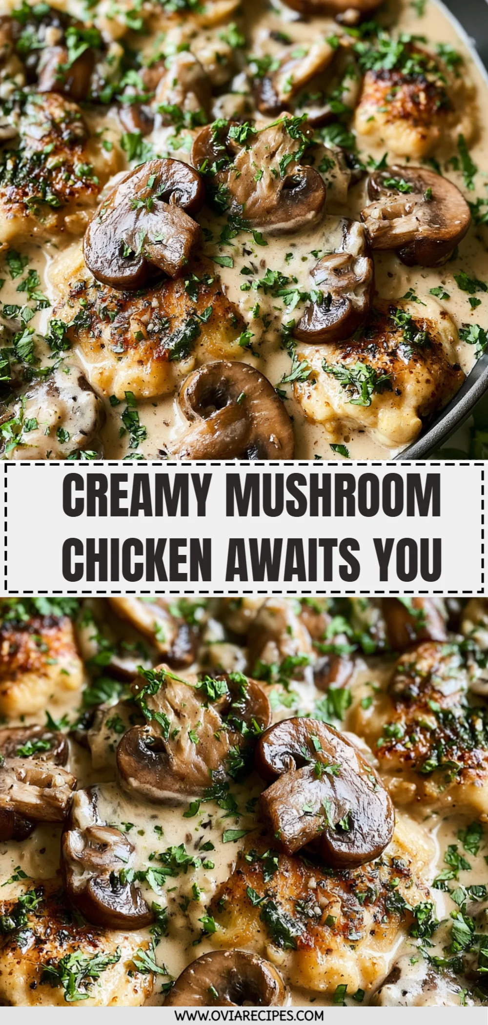 Creamy Mushroom Chicken Awaits You