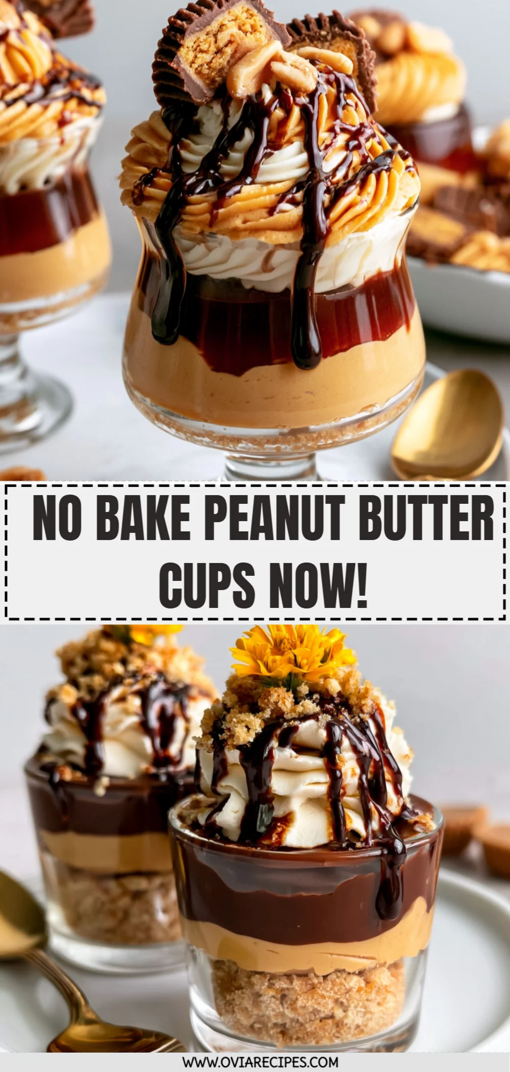 No Bake Peanut Butter Cups Now!
