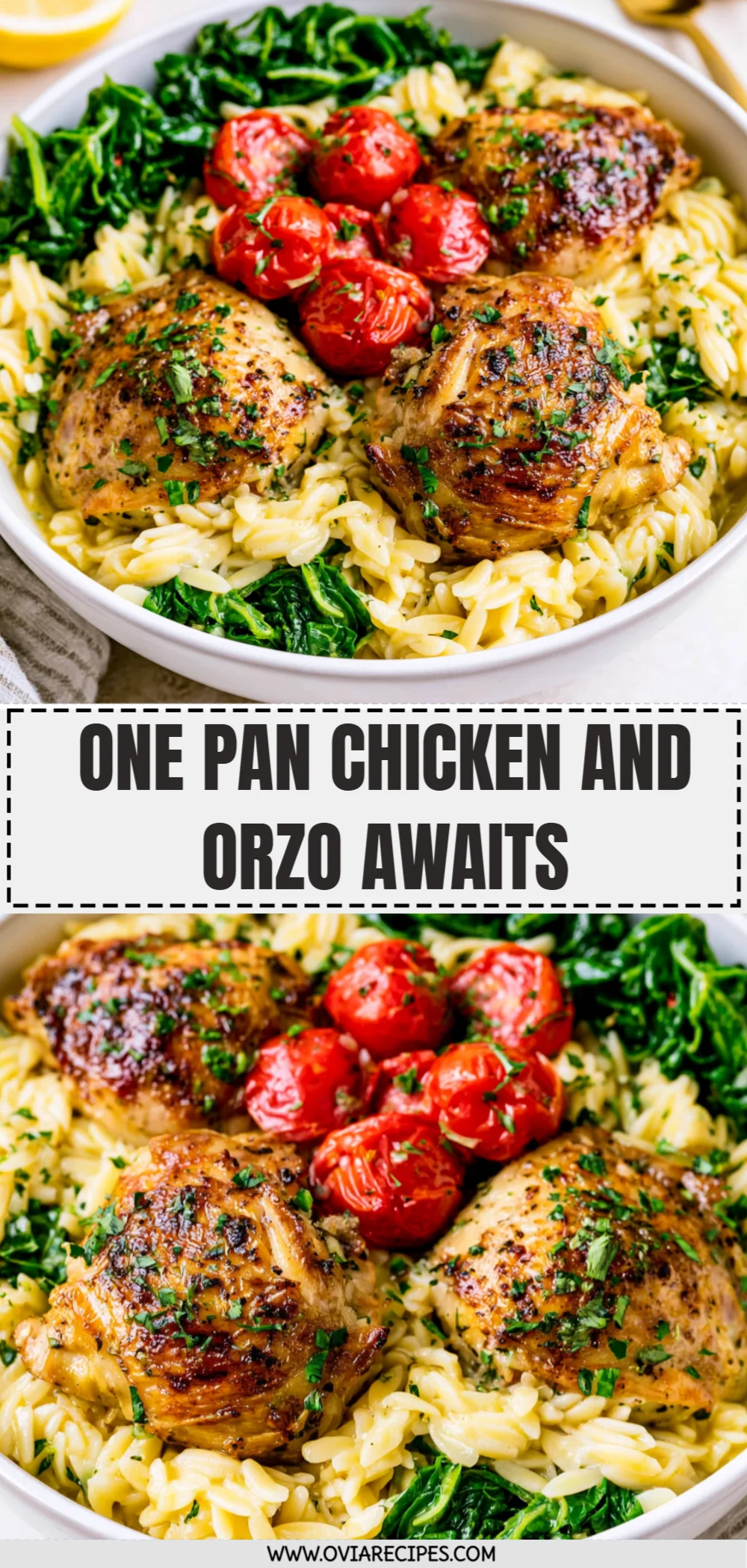 One Pan Chicken and Orzo Awaits
