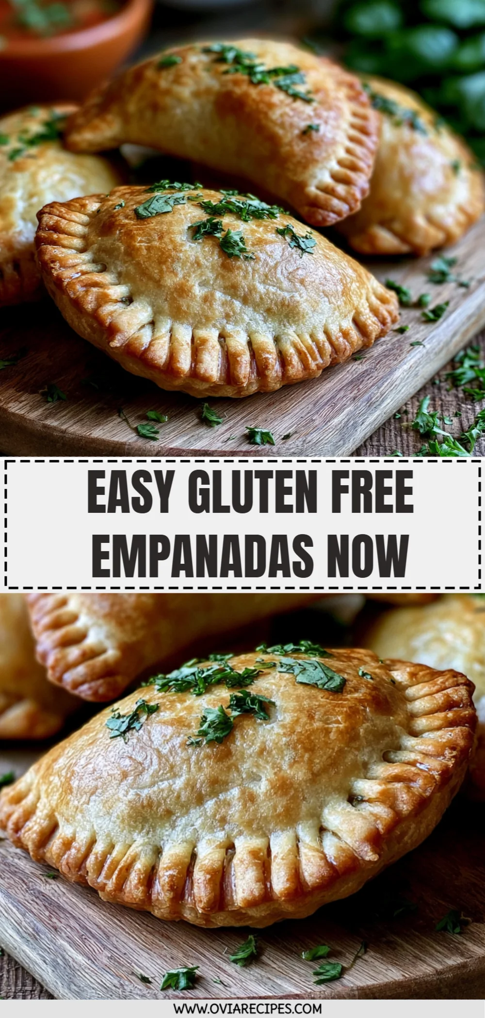 Easy Gluten Free Empanadas Now