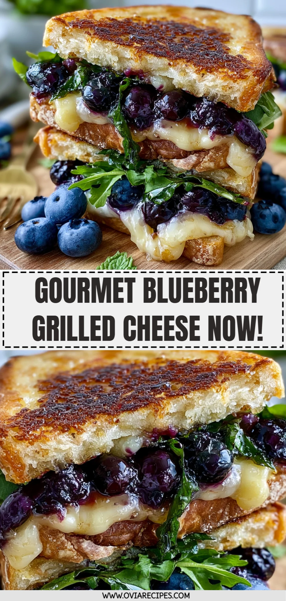 Gourmet Blueberry Grilled Cheese Now!
