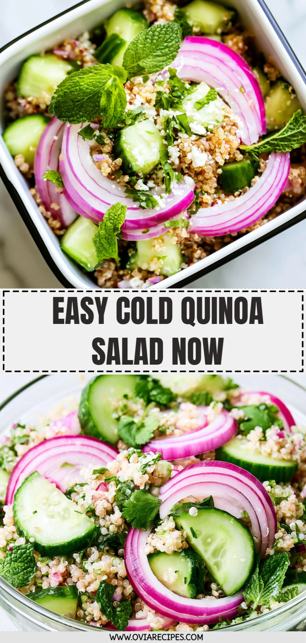 Easy Cold Quinoa Salad Now