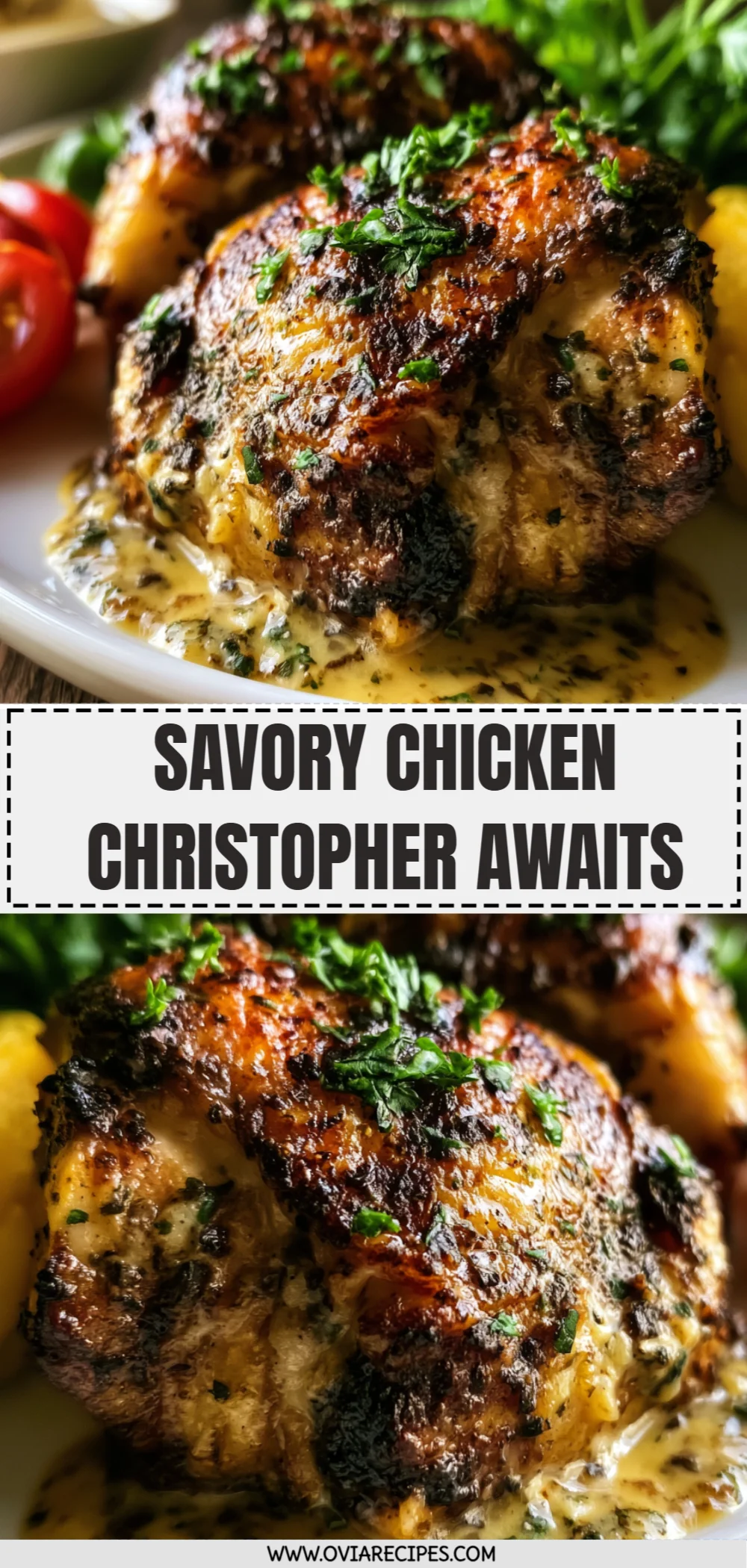 Savory Chicken Christopher Awaits