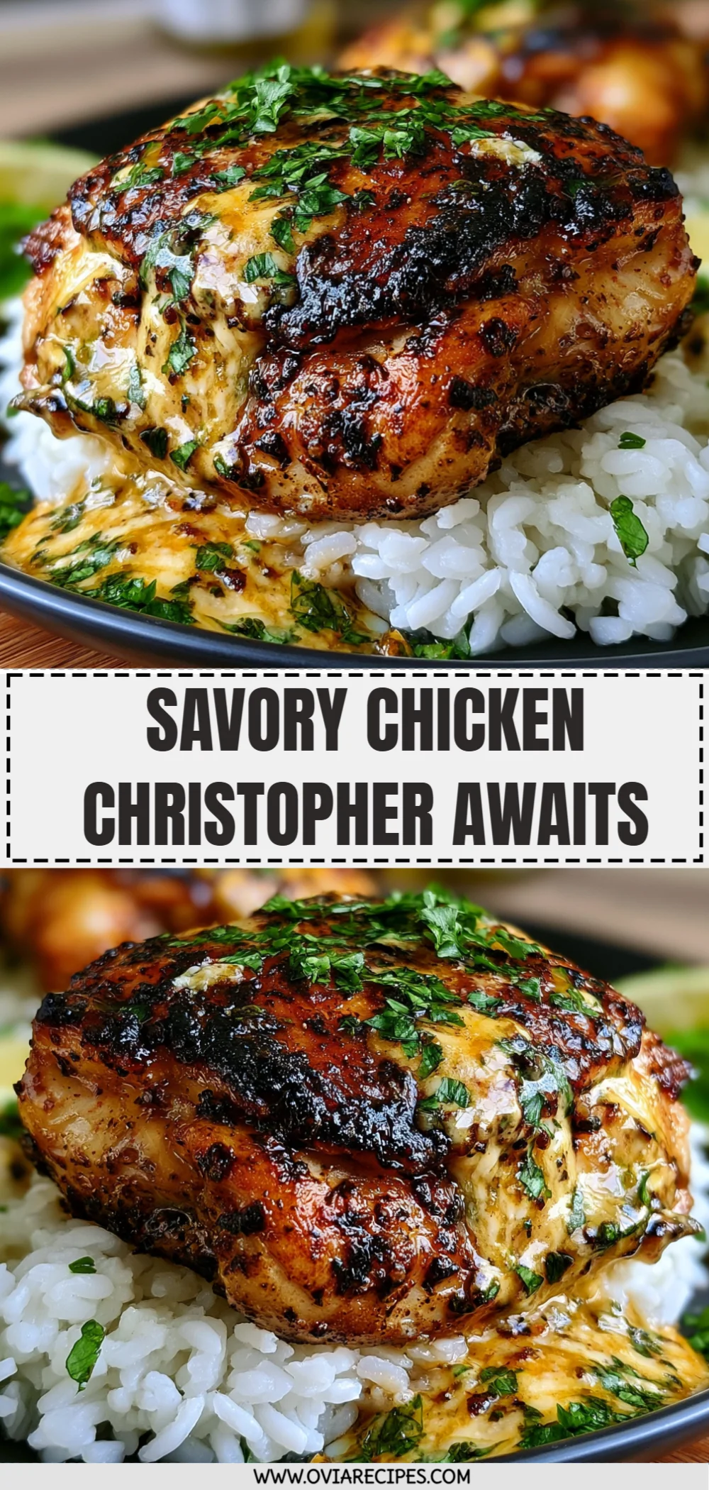 Savory Chicken Christopher Awaits