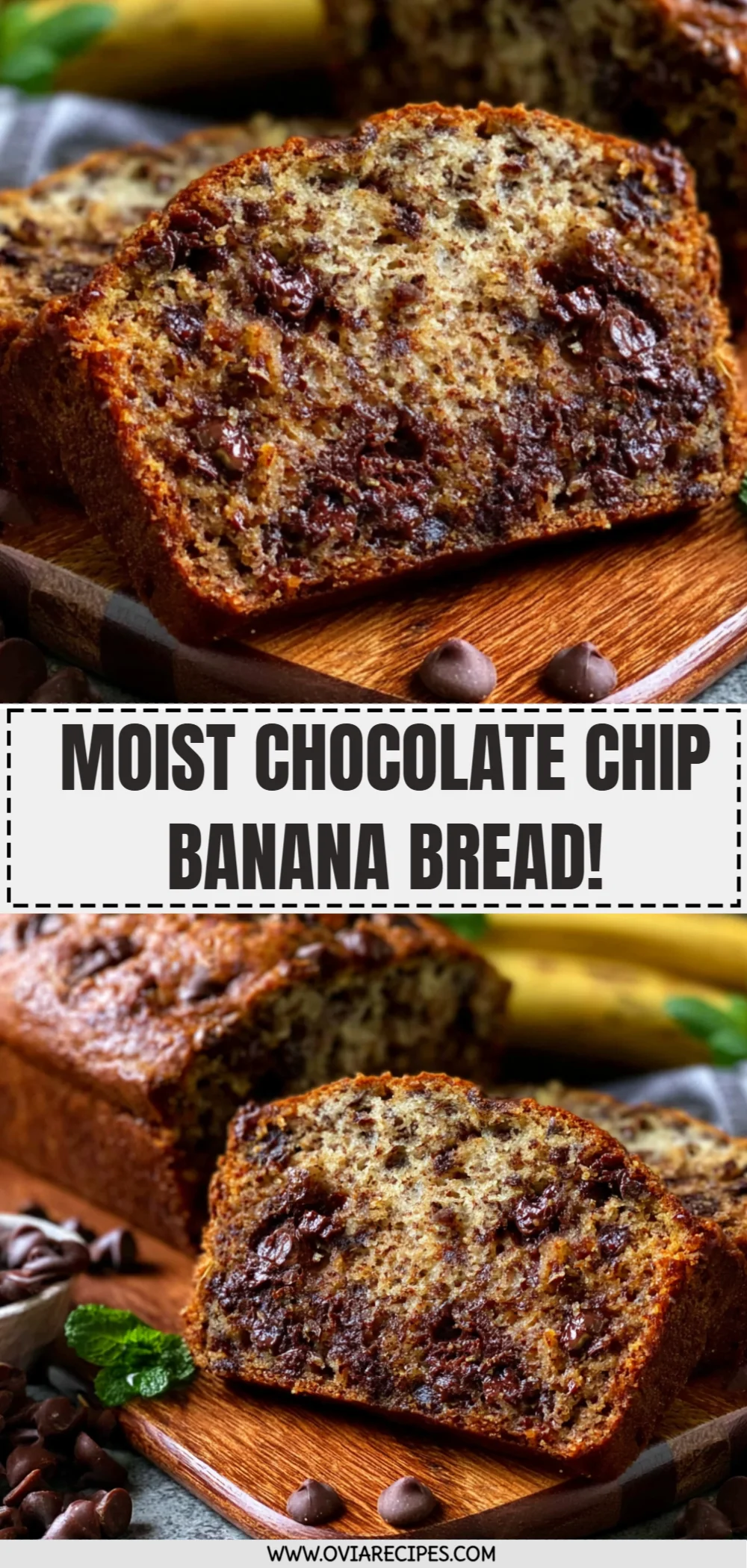 Moist Chocolate Chip Banana Bread!