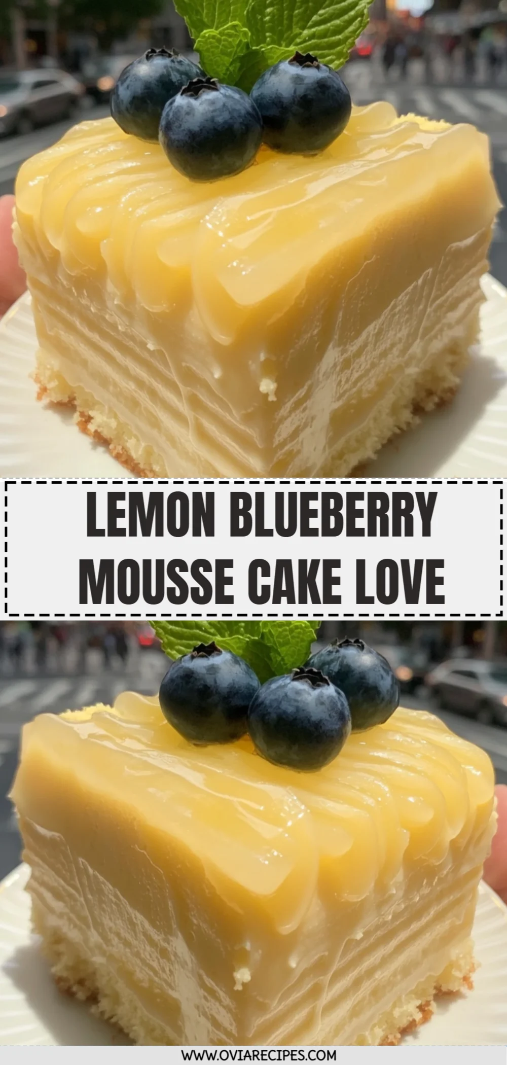 Lemon Blueberry Mousse Cake Love